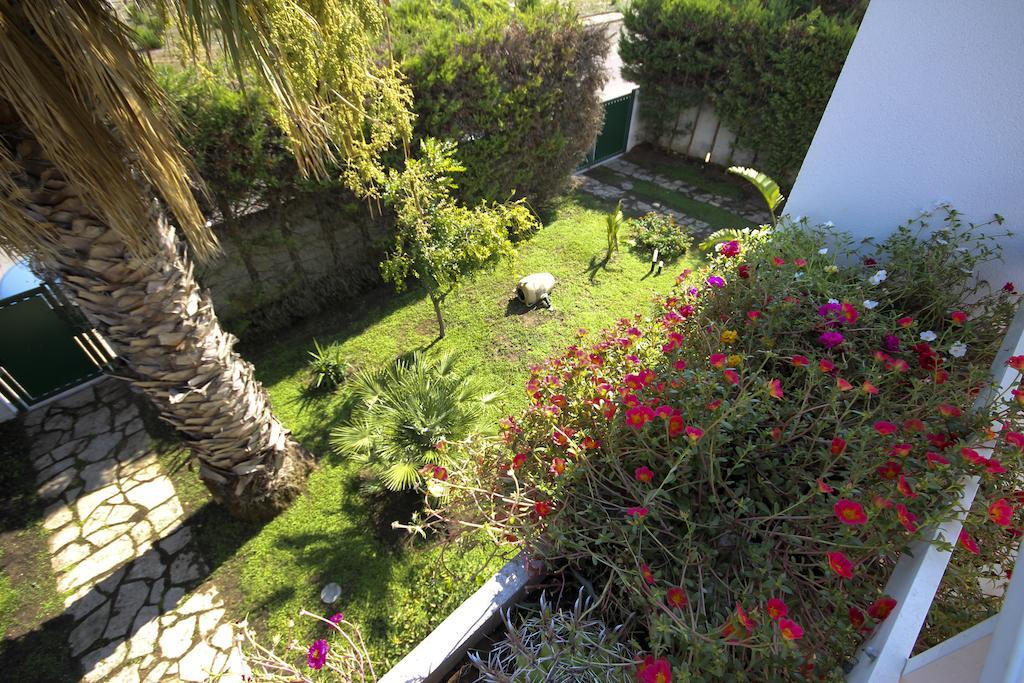 B&B Villa Genny A Pochi Passi Dal Mare San Cataldo  Zimmer foto